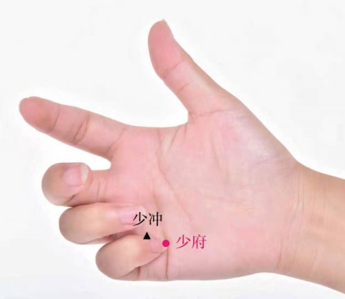 少府穴位置