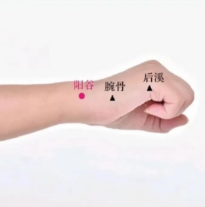 陽谷穴位置