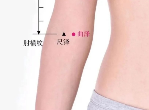 尺澤穴和曲澤穴位置