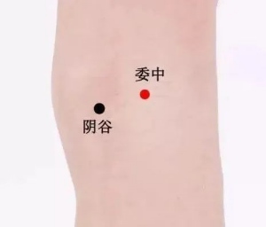 委中穴和陰谷穴