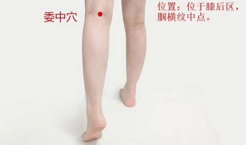 委中穴位置