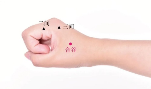 合谷穴位置